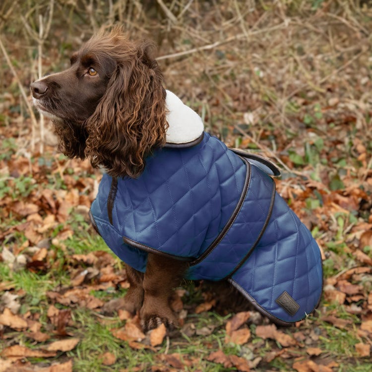 Benji &amp; Flo Luxury Fleece Quilted Dog Coat image 1
